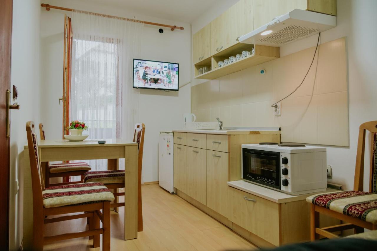 Vila Dinka Сокобаня Экстерьер фото